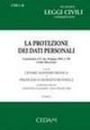 La protezione dei dati personali. Commentario al D. Lgs. 30 giugno 2003, n. 196 «Codice della privacy» (2 vol.)