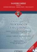 Manuale pratico e formulario nel processo di esecuzione