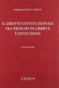 Il diritto costituzionale tra principi di libertà e istituzioni