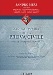 Manuale pratico della prova civile. Prima e durante il processo
