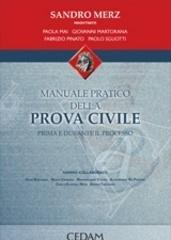 Manuale pratico della prova civile. Prima e durante il processo