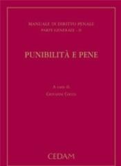 Manuale di diritto penale. Parte generale: 2