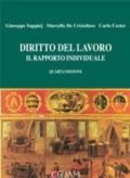 Diritto del lavoro. Il rapporto individuale