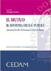 Il mutuo. Il sistema delle tutele. Aggiornato al codice del consumo e al decreto Bersani. Con CD-ROM