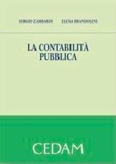 La contabilità pubblica