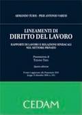 Lineamenti di diritto del lavoro. Rapporti di lavoro e relazioni sindacali nel settore privato