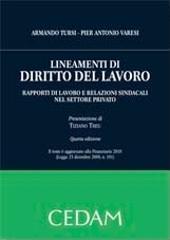 Lineamenti di diritto del lavoro. Rapporti di lavoro e relazioni sindacali nel settore privato