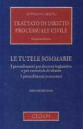 Trattato di diritto processuale civile: 10