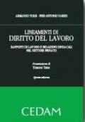 Lineamenti di diritto del lavoro. Rapporti di lavoro e relazioni sindacali nel settore privato