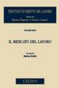 Trattato di diritto del lavoro. 6.Il mercato del lavoro