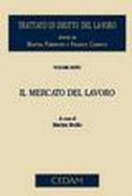 Trattato di diritto del lavoro. 6.Il mercato del lavoro