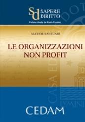 Le organizzazioni non profit