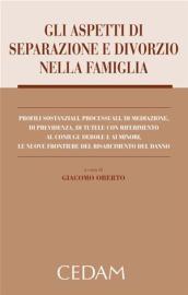 Gli aspetti di separazione e divorzio nella famiglia. Con CD-ROM