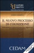 Il nuovo processo di cognizione. Problematiche e questioni dalla fase preliminare all'udienza di trattazione