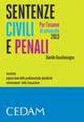 Sentenze civili e penali per l'esame di avvocato 2013. Massime, esposizione delle problematiche giuridiche, orientamenti della Cassazione