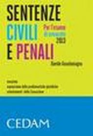 Sentenze civili e penali per l'esame di avvocato 2013. Massime, esposizione delle problematiche giuridiche, orientamenti della Cassazione