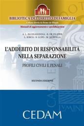 L'addebito di responsabilità nella separazione. Profili civili e penali