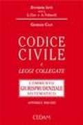 Codice civile e leggi collegate. Con CD-ROM