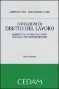 Istituzioni di diritto del lavoro. Rapporti di lavoro e relazioni sindacali nel settore privato