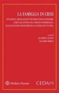 La famiglia in crisi. Invalidità, separazione e divorzio dopo le riforme