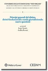 Principi generali del diritto. Diritti fondamentali e tutela giurisdizionale: nuove questioni