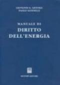 Manuale di diritto dell'energia