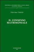 Il consenso matrimoniale. Tecniche di qualificazione e di esegesi delle cause canoniche di nullità (cc. 1095-1107 Cic)