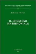 Il consenso matrimoniale. Tecniche di qualificazione e di esegesi delle cause canoniche di nullità (cc. 1095-1107 Cic)