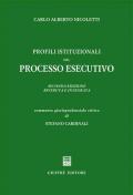 Profili istituzionali del processo esecutivo