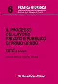 Il processo del lavoro privato e pubblico di primo grado