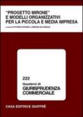 Progetto Mirone e modelli organizzativi per la piccola e media impresa