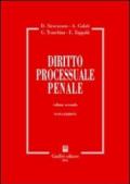 Diritto processuale penale. 2.