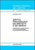 Diritto processuale dei brevetti e dei marchi. Ordinamento amministrativo e tutela giurisdizionale della proprietà industriale