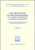 The protection of the environment in a context of regional economic integration. The case of the european community, the mercosur and the nafta