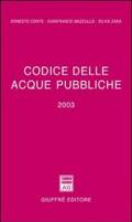 Codice delle acque pubbliche