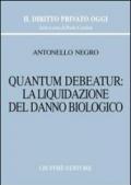 Quantum debeatur: la liquidazione del danno biologico