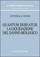 Quantum debeatur: la liquidazione del danno biologico