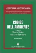 Codice dell'ambiente