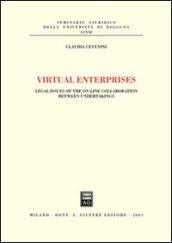 Virtual enterprises. Legal issues of the on-line collaboration between undertakings