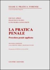 La pratica penale. Procedura penale applicata