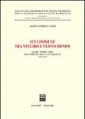 Ius commune tra vecchio e nuovo mondo. Mari, terre, oro nel diritto della conquista (1492-1680)