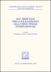 Dal Tribunale per la ex-Iugoslavia alla Corte penale internazionale