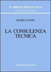 La consulenza tecnica