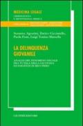 La delinquenza giovanile. Analisi del fenomeno sociale fra tutela della giustizia ed esigenze di recupero