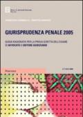 Giurisprudenza penale 2005. Guida ragionata per la prova scritta dell'esame di avvocato e uditore giudiziario