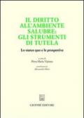 Il diritto all'ambiente salubre: gli strumenti di tutela. Lo status quo e le prospettive