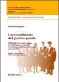 I provvedimenti del giudice penale. Obblighi di motivazione tra fattispecie tipiche e principi giurisprudenziali consolidati. Guida alla lettura della giurisprudenza