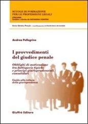 I provvedimenti del giudice penale. Obblighi di motivazione tra fattispecie tipiche e principi giurisprudenziali consolidati. Guida alla lettura della giurisprudenza