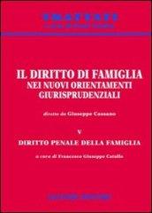 Il diritto di famiglia nei nuovi orientamenti giurisprudenziali. 5.Diritto penale della famiglia