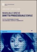 Diritto processuale civile